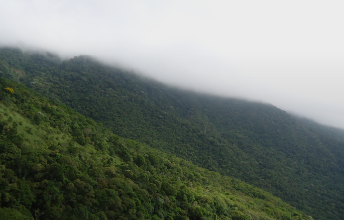 Ministério Público recomenda suspensão de Plano de Manejo da APA da Serra de Baturité.